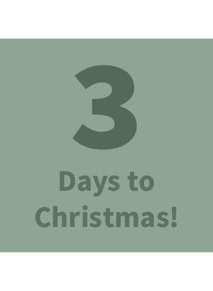 3 days to Christmas!